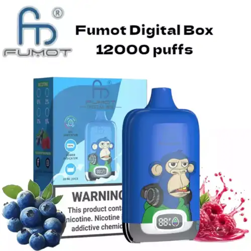 RandM Fumot Digital Box 12000 puffs Disposable Vape Blueberry On Ice
