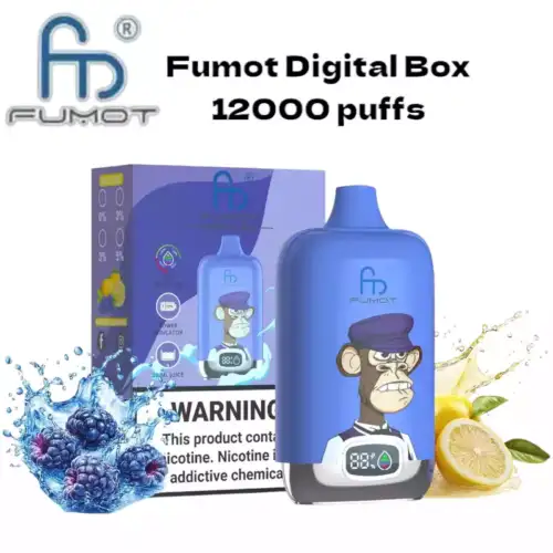 RandM Fumot Digital Box 12000 Puffs Disposable Vape Blue Razz Lemonade