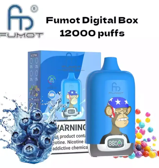 RandM Fumot Digital Box 12000 Puffs Disposable Vape Blueberry Bubblegum