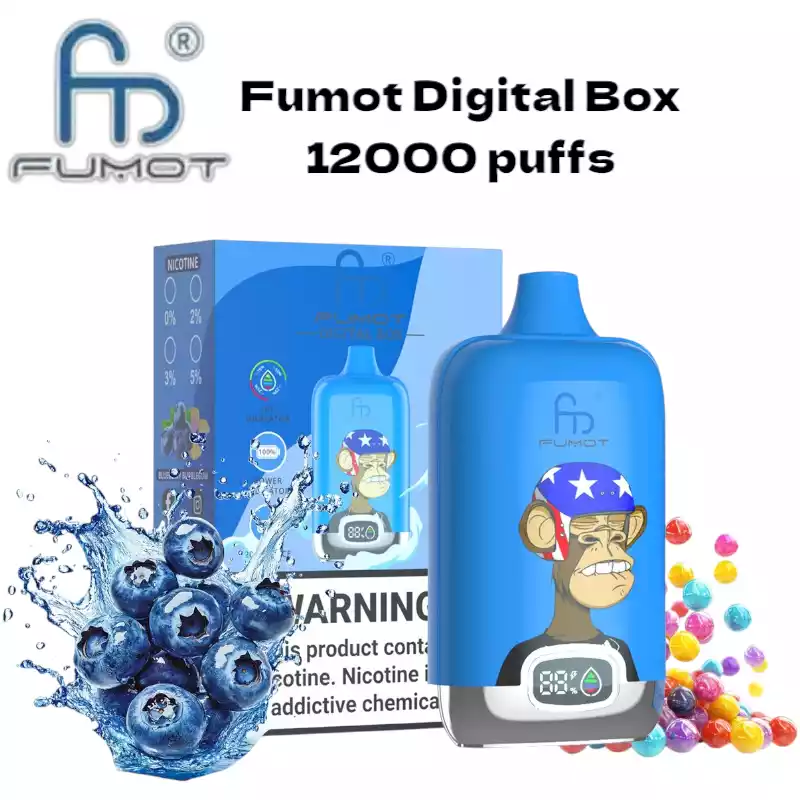 RandM Fumot Digital Box 12000 Puffs Disposable Vape Blueberry Bubblegum
