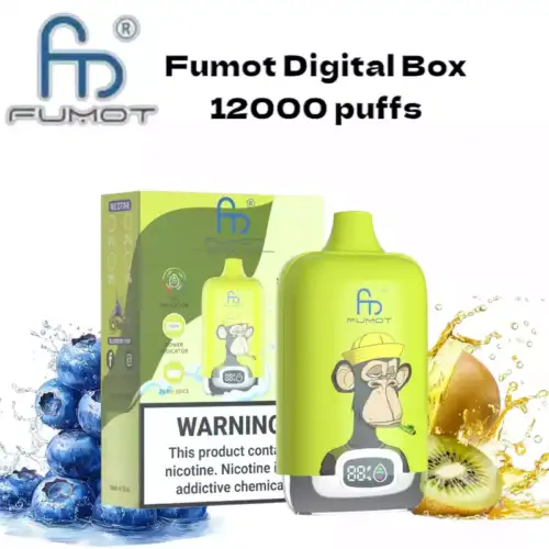 RandM Fumot Digital Box 12000 Puffs Disposable Vape Blueberry Kiwi