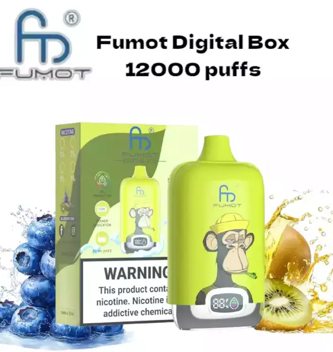 RandM Fumot Digital Box 12000 Puffs Disposable Vape Blueberry Kiwi