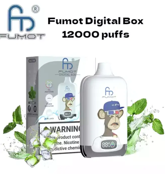RandM Fumot Digital Box 12000 Puffs Disposable Vape Cool Mint 