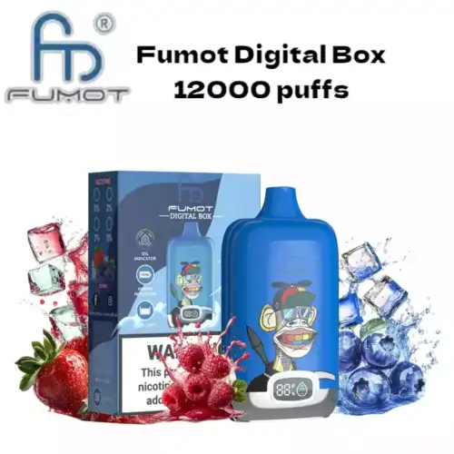 RandM Fumot Digital Box 12000 Puffs Disposable Vape - Dr Blue Geschmack