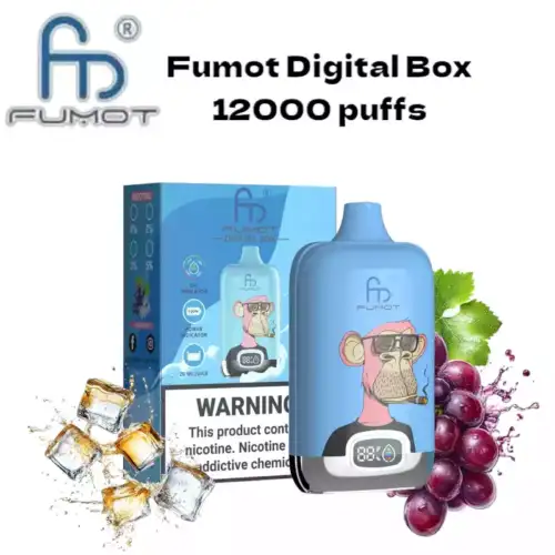 RandM Fumot Digital Box 12000 Puffs Disposable Vape - Grape Ice 