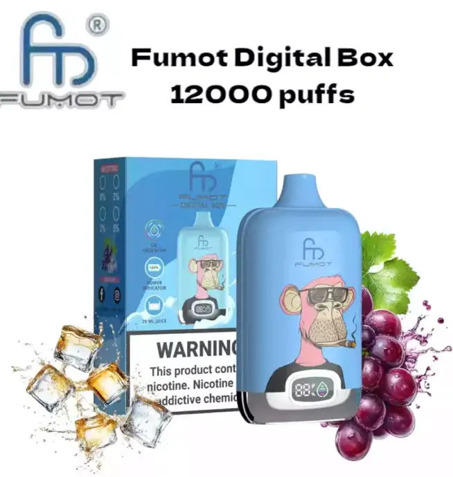 RandM Fumot Digital Box 12000 Puffs Disposable Vape - Grape Ice 