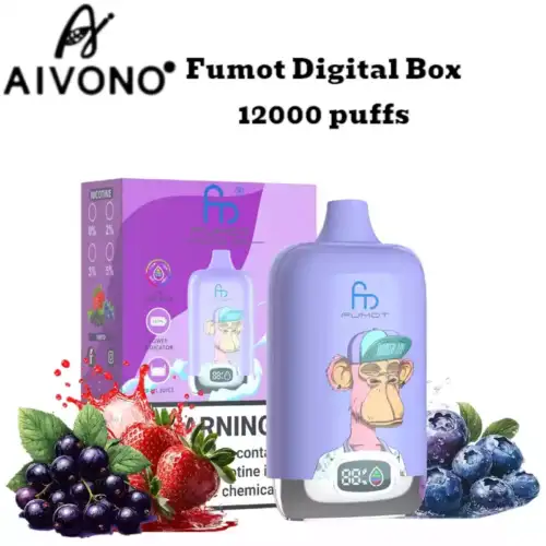 RandM Fumot Digital Box 12000 Puffs Vimto