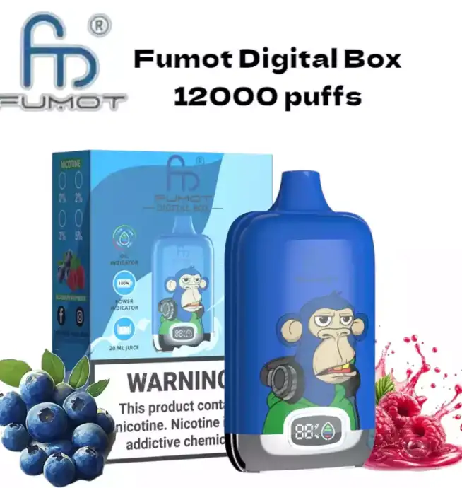 RandM Fumot Digital Box 12000 Puffs– Leistungsstarke Mesh Coil Disposable Vape