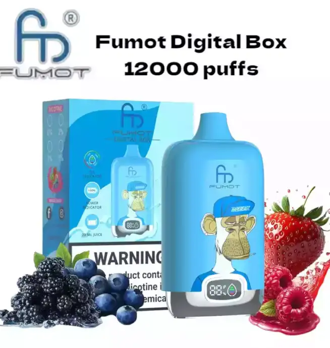 RandM Fumot Digital Box 12000 Puffs– Leistungsstarke Mesh Coil Disposable Vape