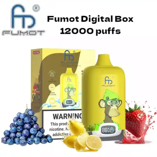 RandM Fumot Digital Box 12000 puffs Disposable Vape Berry Lemonade