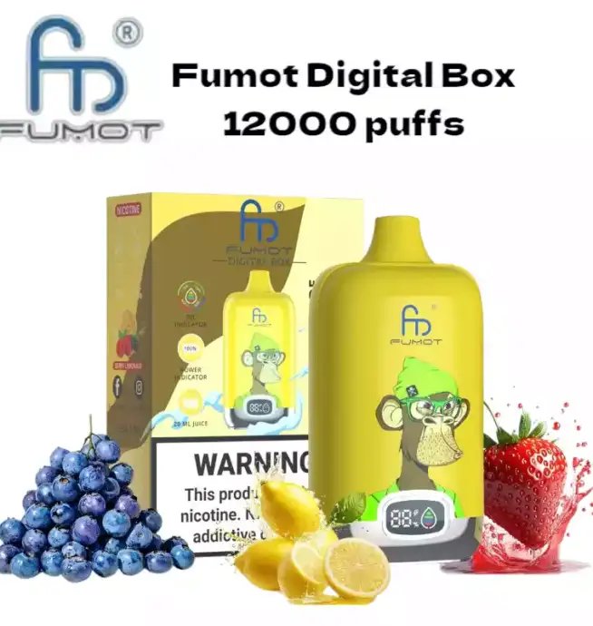 RandM Fumot Digital Box 12000 puffs Disposable Vape Berry Lemonade