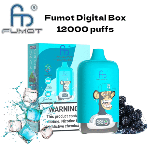 RandM Fumot Digital Box 12000 puffs Disposable Vape Black Ice