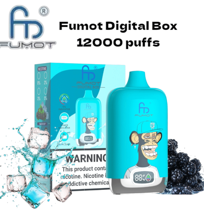 RandM Fumot Digital Box 12000 puffs Disposable Vape Black Ice