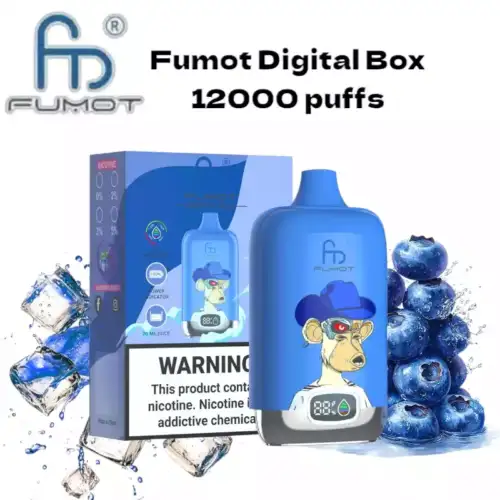 RandM Fumot Digital Box 12000 puffs Disposable Vape Blueberry On Ice