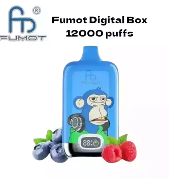 RandM Fumot Digital Box 12000 puffs Disposable Vape Blueberry Raspberry