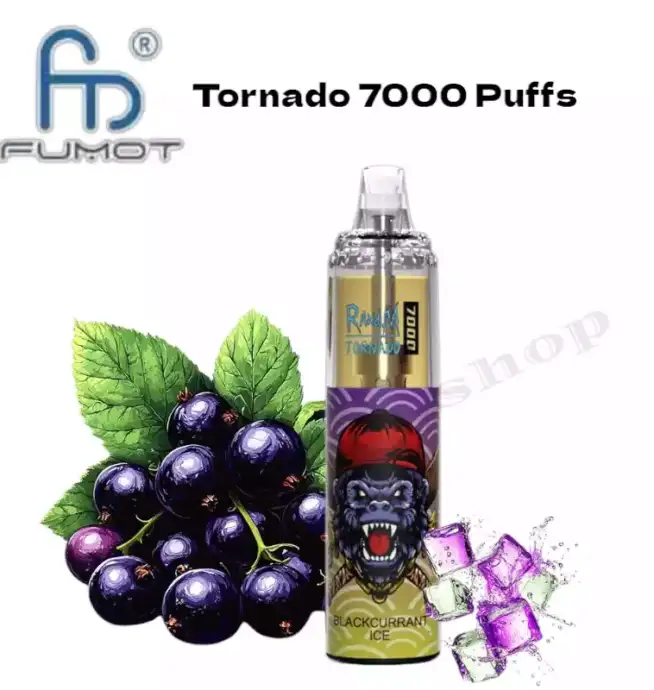 RandM Tornado 7000 Puffs Blackcurrant Ice Rechargeable Vape
