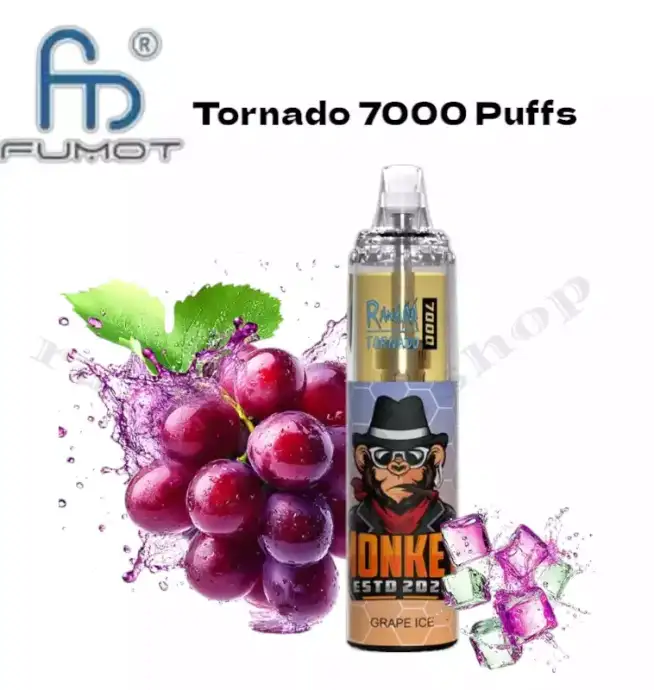 RandM Tornado 7000 puffs –Wiederaufladbare Disposable Vape mit
