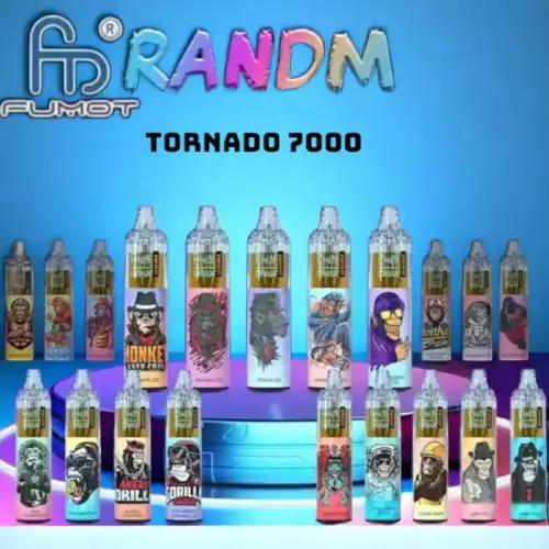 RandM Tornado 7000 puffs –Wiederaufladbare Disposable Vape mit