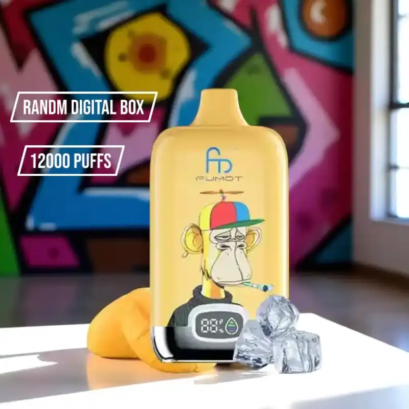 Randm Digital Box 12000 puffs (2)
